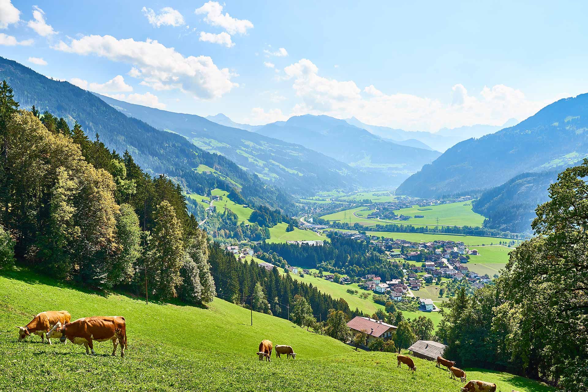 Valle Zillertal in Austria